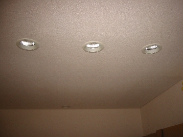 �_�C�j���O�̏Ɩ��i�����j