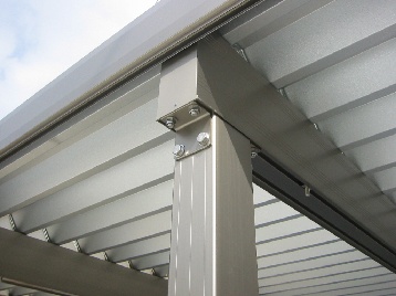 ���̌�������