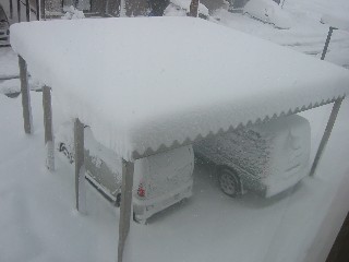 �J�[�|�[�g