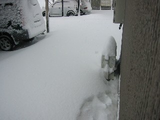 �G�A�R���t�ߏ���O