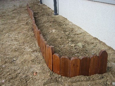 �Ƃ肠�����̉Ԓd