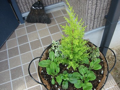 ���A���̑���