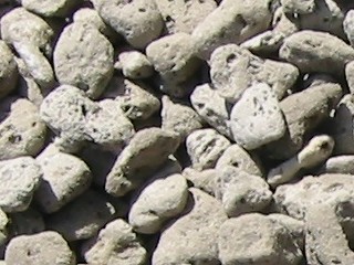 ������h�~�ނ̊g��