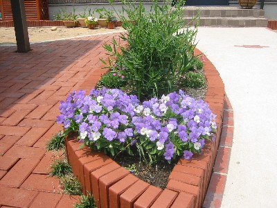 �T���Q�S���̉Ԓd