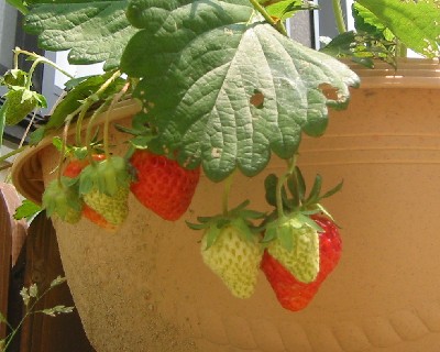 ������������܂���