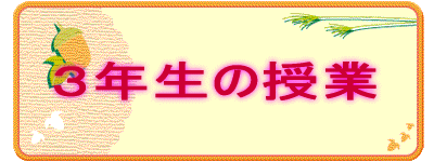 PN̎