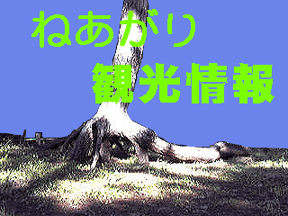˂όŔ